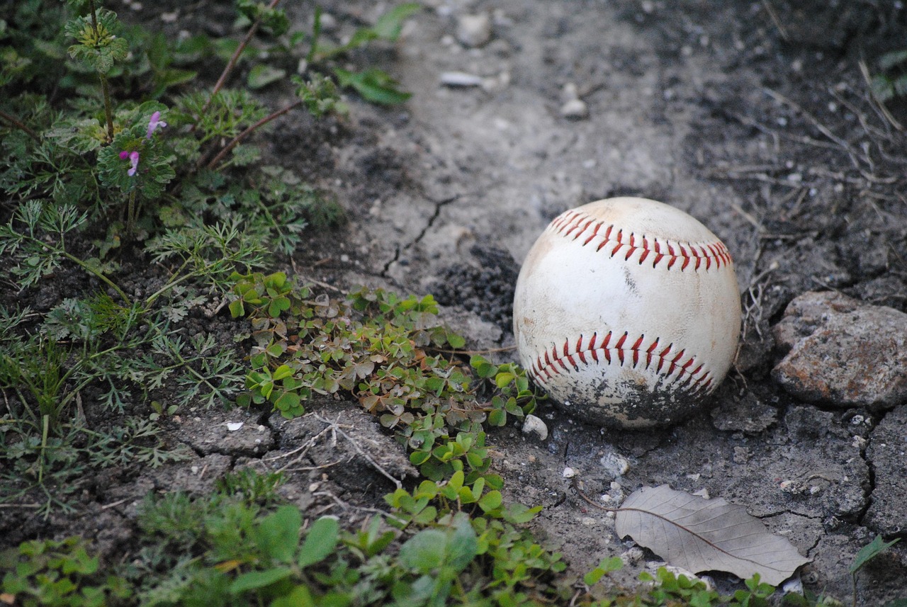 Baseball 642884 1280
